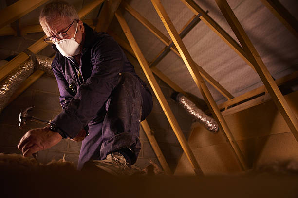 Best DIY Insulation Kits and Guidance in Calabash, NC